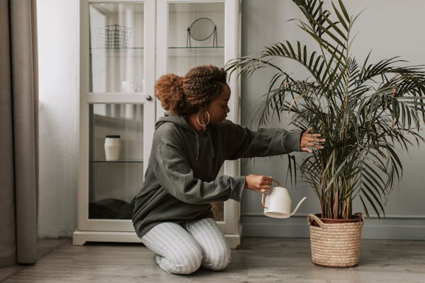 10 Plantas Fáciles de Cuidar para Quienes Viven en un Apartamento